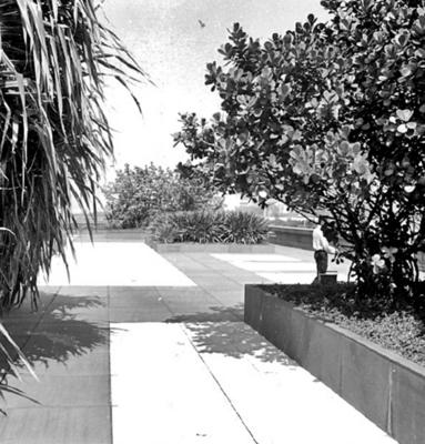 Museu de Arte Moderna - MAM