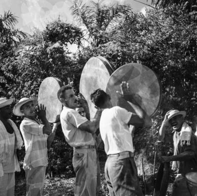 Bumba meu boi, festa popular