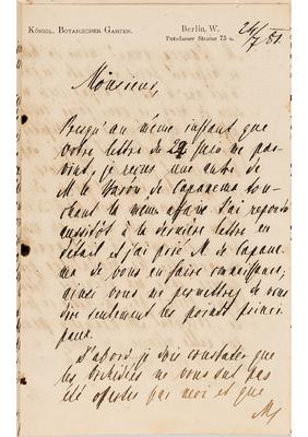[Carta de A.W. Eichler a João Barbosa Rodrigues, datada de 24 de julho de 1881]