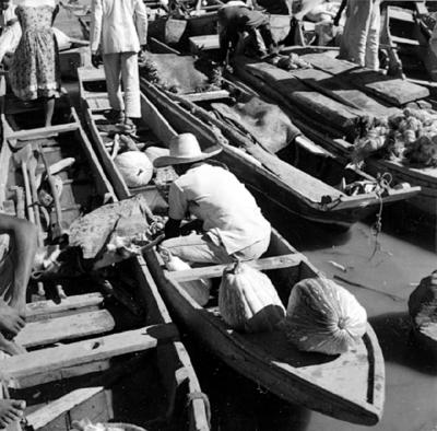 Cena do Rio São Francisco