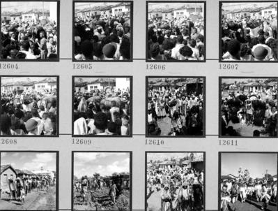 Bumba meu boi, festa popular