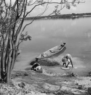 Garimpo de diamantes na Boca do Tauiri