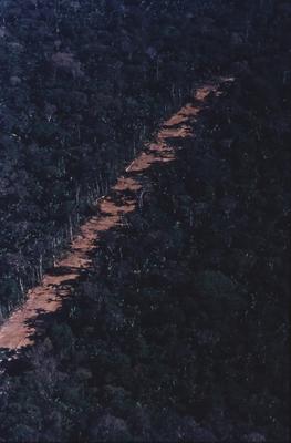 Vista aérea de estrada em meio à floresta