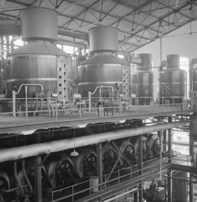 Usina Central Barreiros