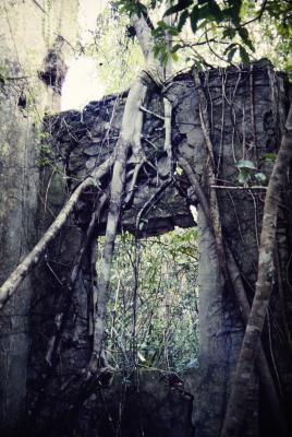 Expedição Pico da Neblina