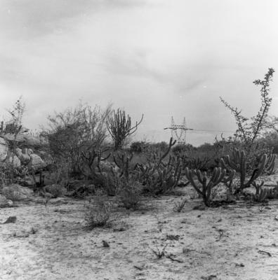 Arredores da Cachoeira de Paulo Afonso