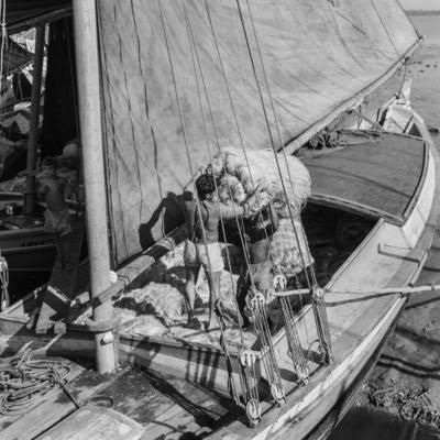 Homens descarregando juta