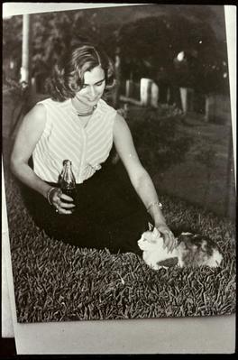 Hebe Camargo (reprodução)