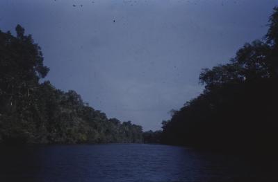 Expedição Pico da Neblina
