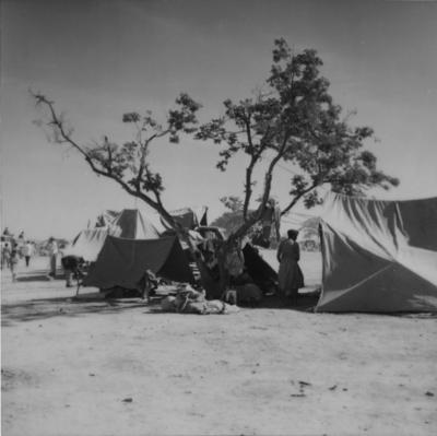 Acampamento de romeiros