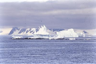 Iceberg em forma de cisne