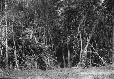 Dario Chiaverini no Pico do Jaraguá