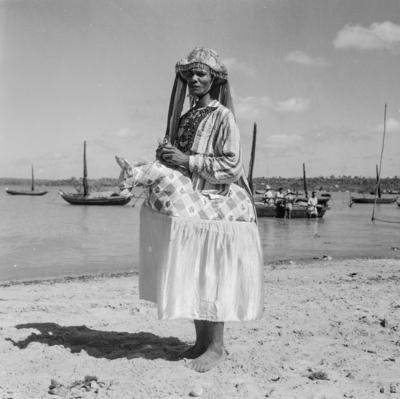 Bumba meu boi, festa popular