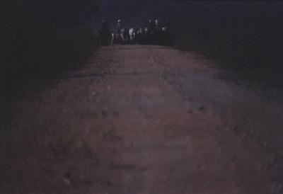 Boiadeiro conduz gado