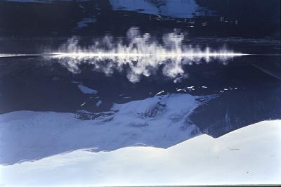 Aventuras de Igor na Antártida