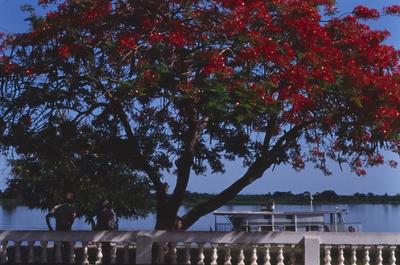 Homens não identificados