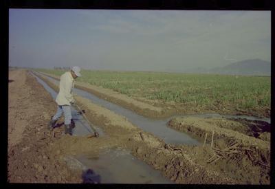 Produção de filme institucional sobre usinas de açúcar