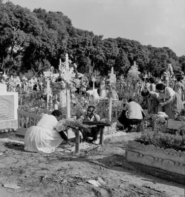 Alumiação, festa popular