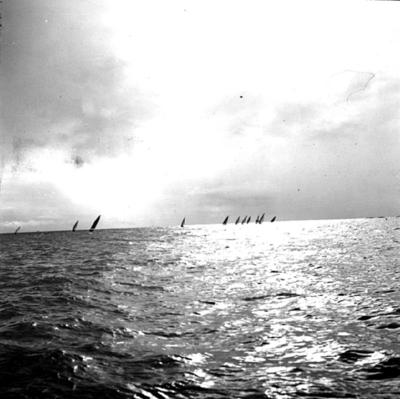 Festa de Iemanjá em Rio Vermelho