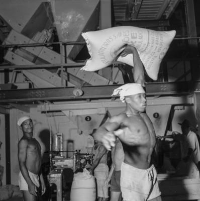 Usina Central Barreiros