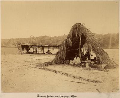 Pescadores de Pirarucu na margem do rio Amazonas