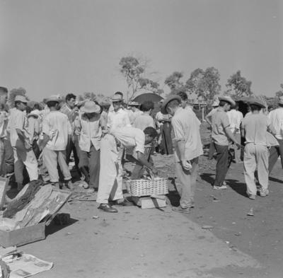 Edifícios residenciais projetados para os Institutos de Aposentadoria e Pensões