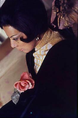 Série Retratos - Elizeth Cardoso