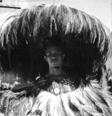 Bumba meu boi, festa popular