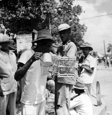 Feira dos Passarinhos