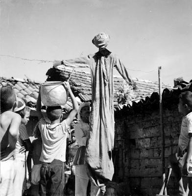 Bumba Meu Boi, festa popular