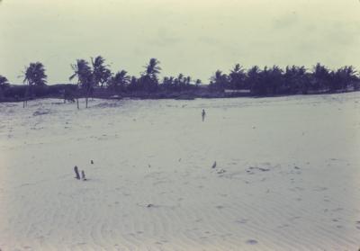 Praia próxima ao quilombo de Sibaúma