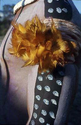 Série Xingu - Pinturas corporais e adornos indígenas