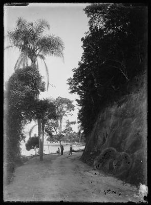 Encosta do morro da Imbuca