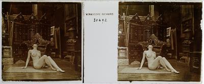 Estereoscopia erótica