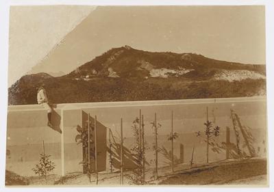 Residência da família Barreira Vianna