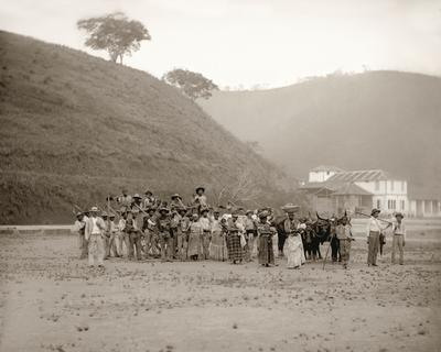 Partida para a colheita do café