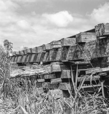 Série "Estrada de Ferro Tocantins"