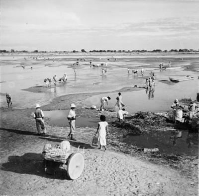 Cena do Rio São Francisco