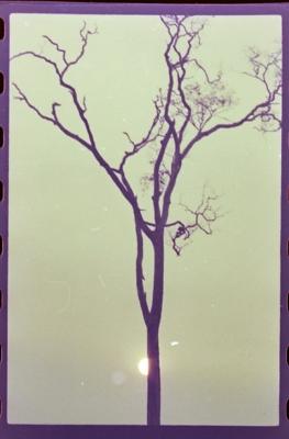 Filmagens de "Iracema: uma transa amazônica", com direção de Jorge Bodanzky e Orlando Senna