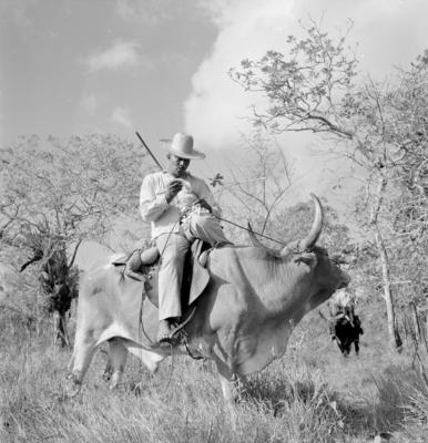 Vaqueiro - Ilha Mexiana