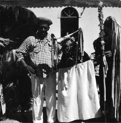 Bumba meu boi, festa popular