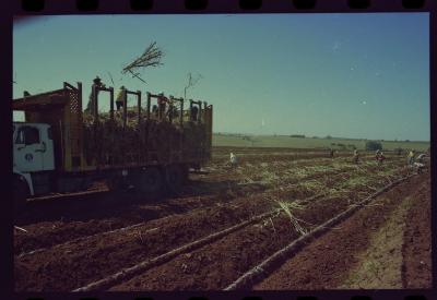 Produção de filme institucional sobre usinas de açúcar