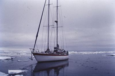 Aventuras de Igor na Antártida