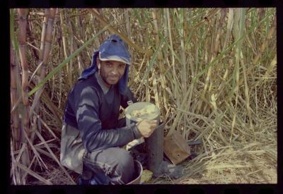 Produção de filme institucional sobre usinas de açúcar