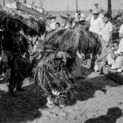 Bumba meu boi, festa popular
