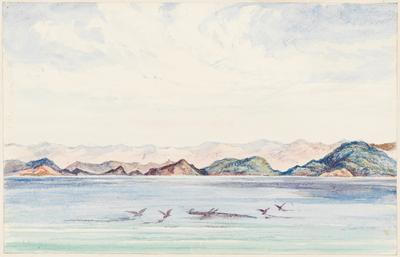 Brazilian Coast, close to Santos, N.W. 1/2 N.