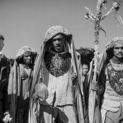 Bumba meu boi, festa popular