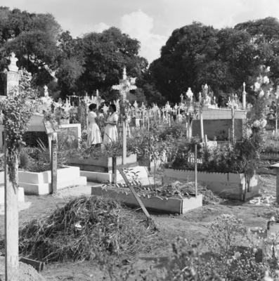 Alumiação, festa popular