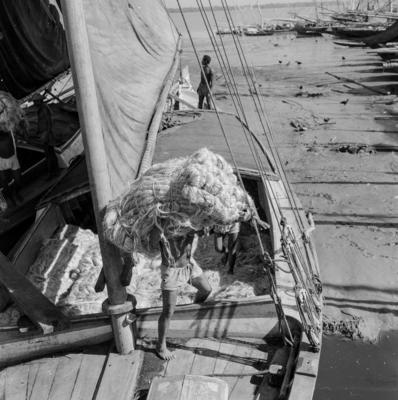 Homens descarregando juta