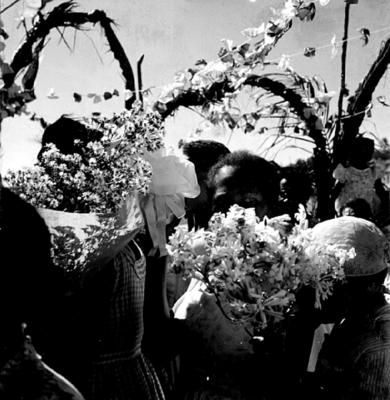 Festa de Iemanjá em Rio Vermelho